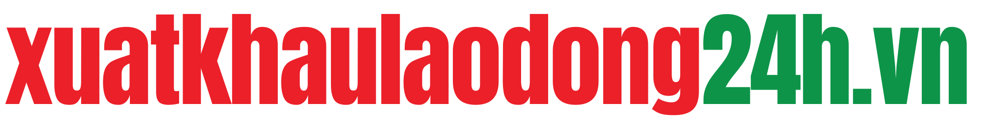 xuatkhaulaodong24h.vn logo